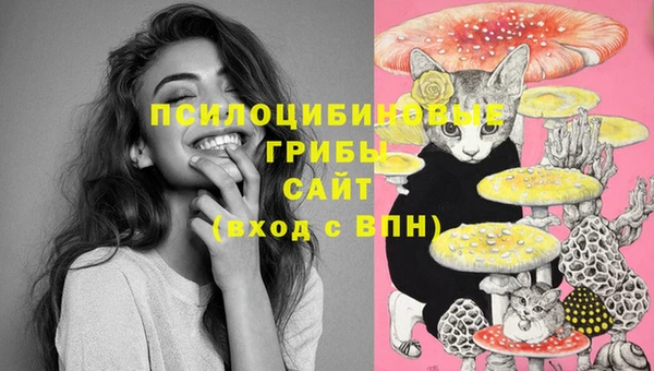 MDMA Алексин