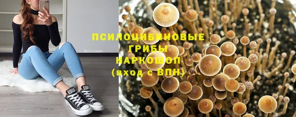 спиды Алексеевка