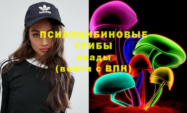 спиды Алексеевка
